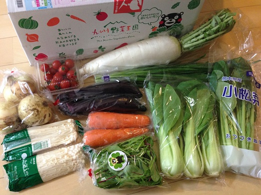 九州野菜王国の野菜達が届きました